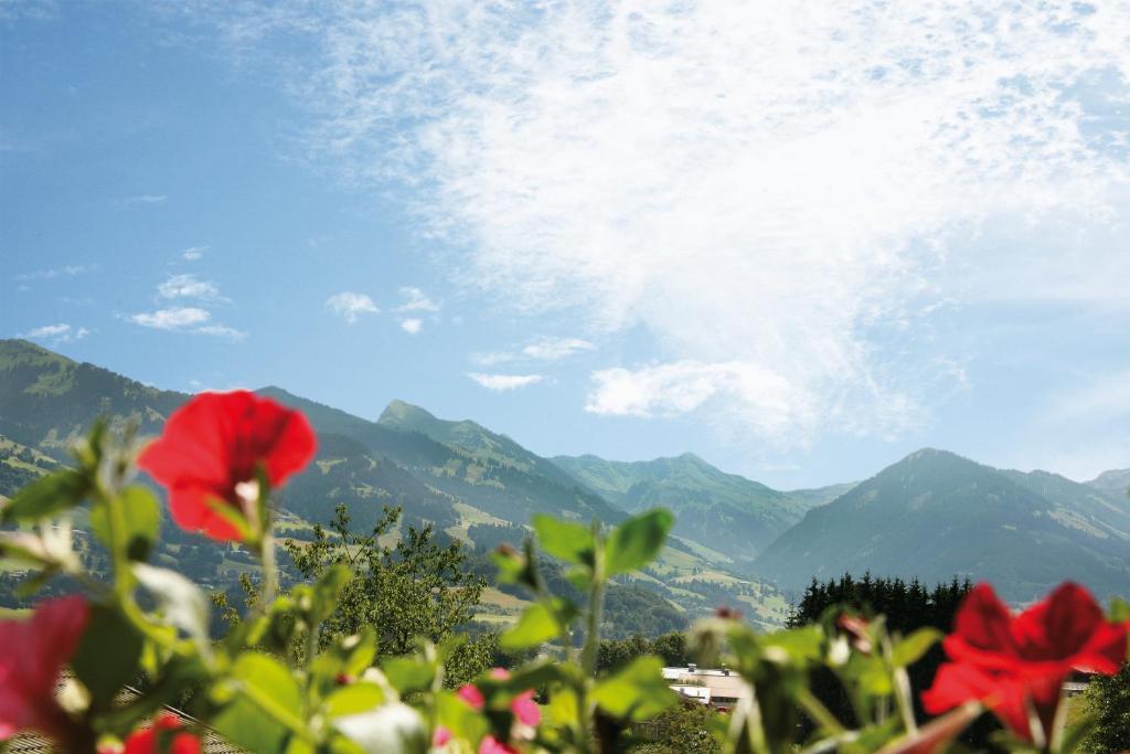 Apartment Haus Schatz Kitzbuhel Luaran gambar